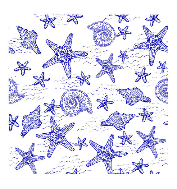 conjunto de conchas marinas, estrellas de mar, conchas marinas, estrellas de mar, estrellas de mar, conchas marinas, y otros símbolos. vector - Vector, imagen
