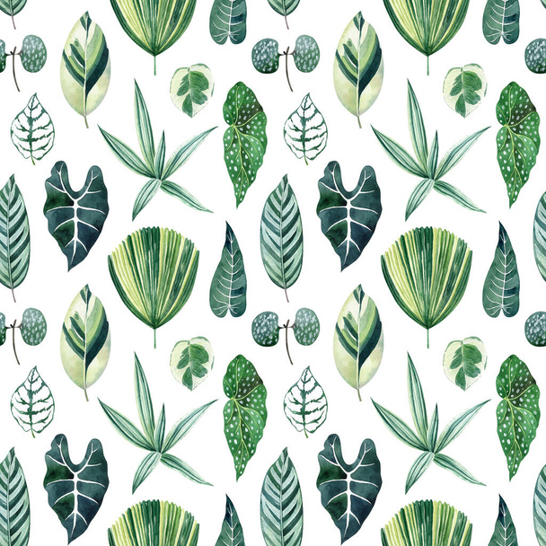 Tropical leaves watercolor seamless pattern with licuala grantis, tradescantia, begonia, alocasia, calathea. Exotic foliage texture for fabrics, wrapping paper, wallpapers, digital paper. - Photo, Image