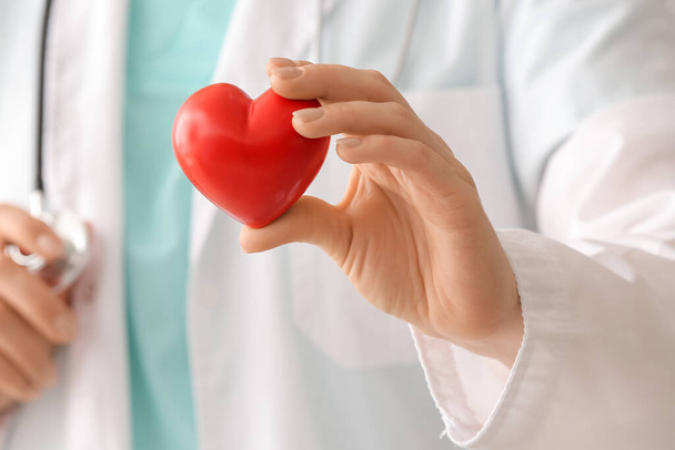 Žena kardioložka s červeným srdcem, detailní záběr - Fotografie, Obrázek