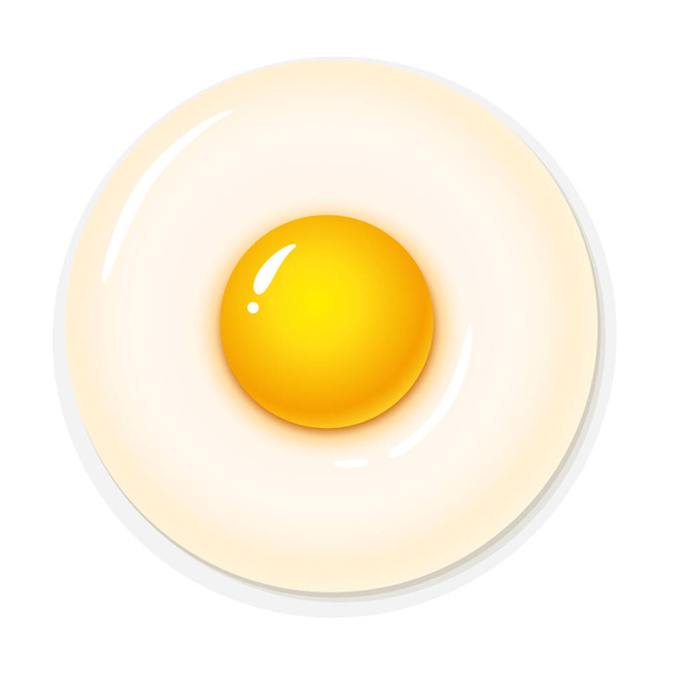 fried egg on a white background - Vector, Image