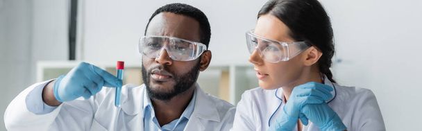 Multi-ethnische wetenschappers in latex handschoenen en brillen kijken naar reageerbuis in het lab, banner  - Foto, afbeelding