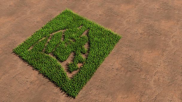 Concept of conceptuele groene zomer gazon gras symbool vorm op bruine grond of aarde achtergrond, longen en hart beeld. Een 3D illustratie metafoor voor geneeskunde, long- of hartziekten    - Foto, afbeelding