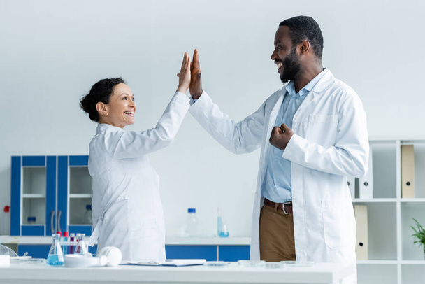 African american scientists giving high five near test tubes and petri dishes in lab  - Foto, Imagen