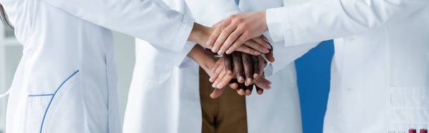 Vista cortada de médicos inter-raciais de mãos dadas na clínica, banner  - Foto, Imagem