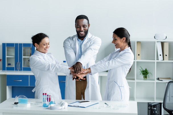 Smiling interracial scientists holding hands near test tubes and clipboard in laboratory  - Foto, Imagen