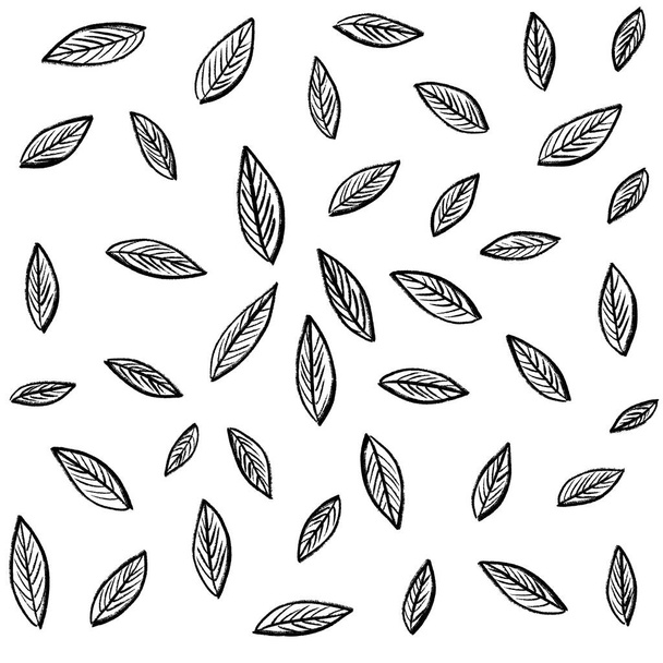 Vzor tropických listů izolovaných na bílém pozadí. Květinový design prvků. pozvánky na svatbu, blahopřání, blogy, plakáty. vektor - ilustrace - Vektor, obrázek