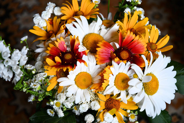 Čerstvé heřmánku květiny krásné kvetoucí kytice červená žlutá bílá barvy zelené listy makro přírodní zahrada produkt detailní pozadí - Fotografie, Obrázek