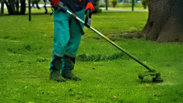 A man with a lawn mower in the park clears the grass - Fotoğraf, Görsel