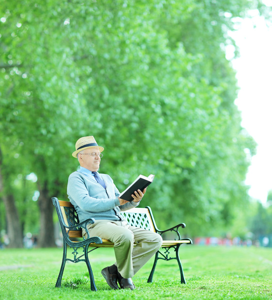 Senior gentleman reading book - 写真・画像