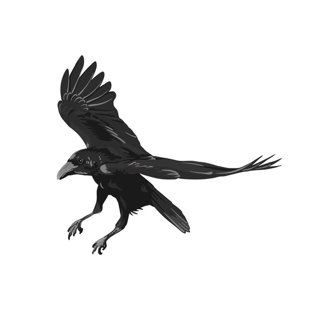 Raven tekening van hoge kwaliteit vector illustratie.Flying raven.Halloween kraai ontwerp - Vector, afbeelding