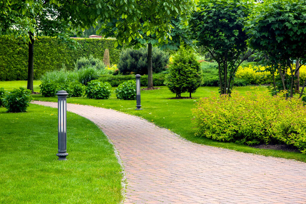 curved pedestrian pavement of stone tiles in park with landscaping and green plants bushes with trees, landscaped of thujas and deciduous buhes on the lawn with griubd lanter, nobody. - Foto, afbeelding