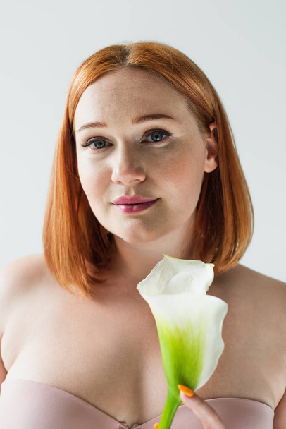 Plus size woman in bra holding calla lily isolated on grey  - 写真・画像