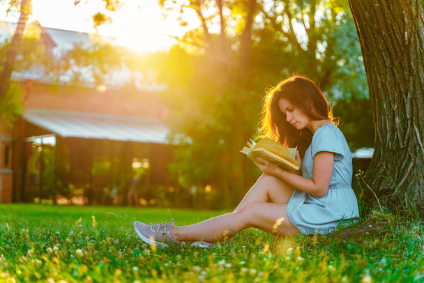 Μια όμορφη νεαρή γυναίκα με φόρεμα κάθεται κάτω από ένα δέντρο και διαβάζει ένα βιβλίο σε ένα καταπράσινο καλοκαιρινό πάρκο το ηλιοβασίλεμα. - Φωτογραφία, εικόνα