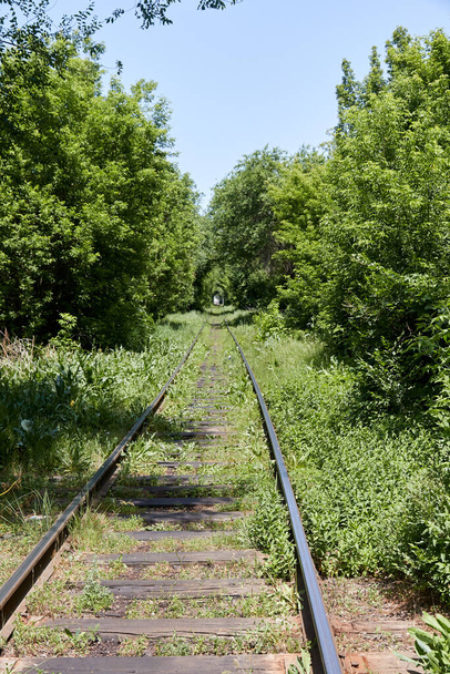 hylätty rautatie umpeen ruoho. rautatie umpikuja - Valokuva, kuva