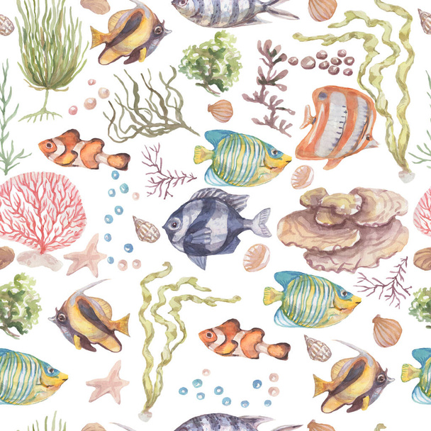 Fish underwater sea ocean corals algae seashells watercolor hand drawn illustration. Prin textile vintage wild nature bright aquarium fish patern seamless - Foto, Imagen