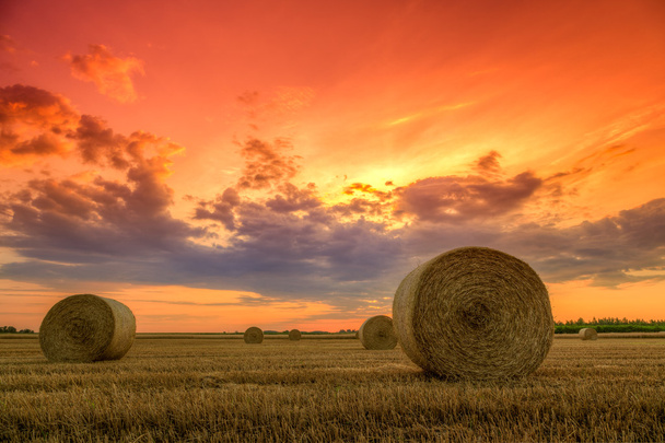Západ slunce nad farmářským polem s balíky sena - Fotografie, Obrázek