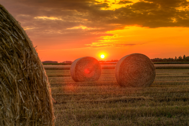 Закат над сельскохозяйственным полем с тюками сена
 - Фото, изображение