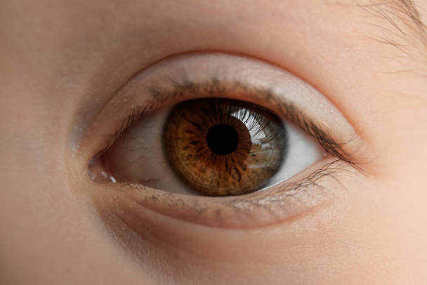 Beautiful big brown eye close-up. Caucasian appearance. Part of a child's body. Dark saturated color. Eyesight check. Macro. Happy childhood. Caring for the health of vision. Good emotion. Happiness. - Photo, Image