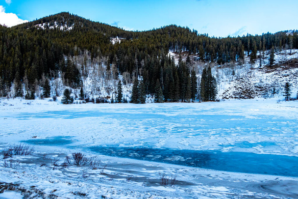 Lumi peitetty lampi jäällä kurkistaa läpi. Sibbald Niityt Pond Provincial Recreation Area, Alberta, Kanada - Valokuva, kuva