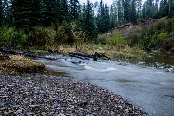 Νωρίς το πρωί, ο ποταμός ξεκίνησε την άνοιξη. Tay River Provincial Recreation Area, Αλμπέρτα, Καναδάς - Φωτογραφία, εικόνα