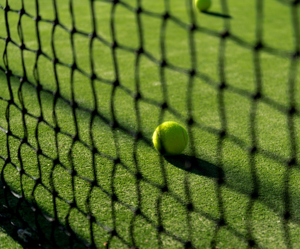 εστιασμένη τένις μπάλα πίσω από το καθαρό - Φωτογραφία, εικόνα