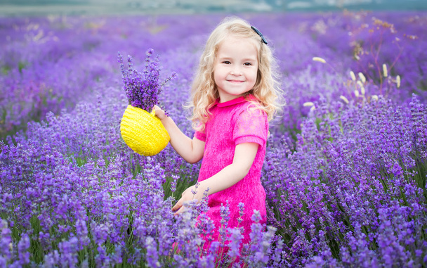 Onnellinen pikkutyttö on laventelipellolla
 - Valokuva, kuva