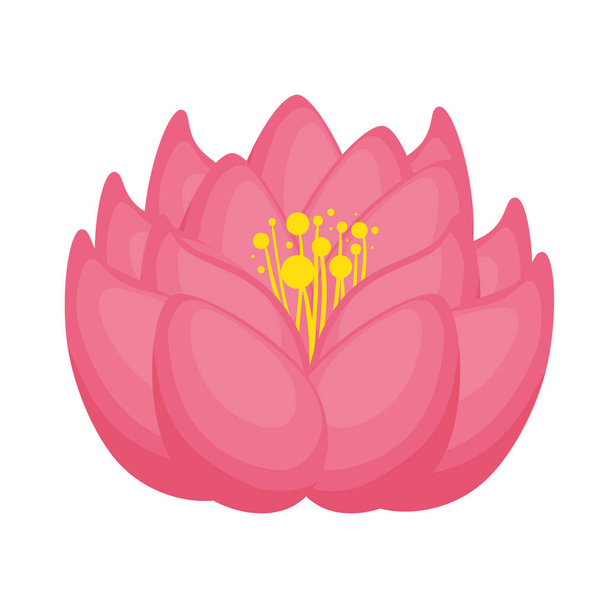 pink lotus flower - Vector, Image