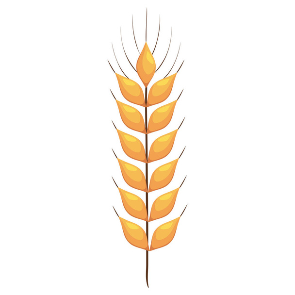 wheat spike icon - Vector, afbeelding