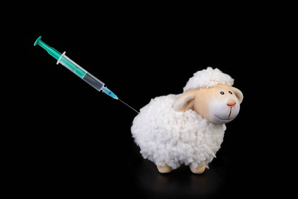 A toy sheep with a syringe sticking in its backside. Isolated on black background. - Zdjęcie, obraz