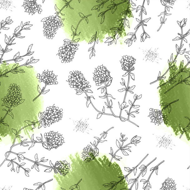 葉や花とタイムの小枝とシームレスなパターン。手描きの詳細なスケッチ、ベクトル植物図. - ベクター画像