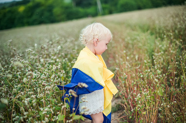Embrulhado em bandeira amarela azul, a rapariga sai. criança com símbolo da Ucrânia. Mulher ucraniana caminha no campo com fagópiro - Foto, Imagem