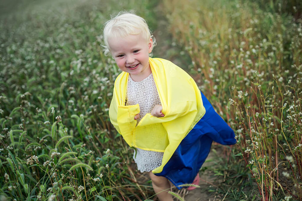 Eingehüllt in eine blau-gelbe Fahne, geht das Mädchen. Kind mit dem Symbol der Ukraine. Ukrainische Frau geht mit Buchweizen auf Feld - Foto, Bild