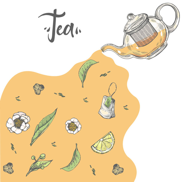 Hand-drawn sketch kettle with tea leaves and flowers, vector illustration. - Vector, Image