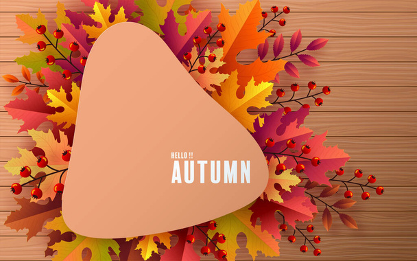 Autumn holiday seasonal background with colorful autumn leaves, mushrooms, owls, golden pods, squirrels, and elements paper cut craft style on color background. - Vector, imagen