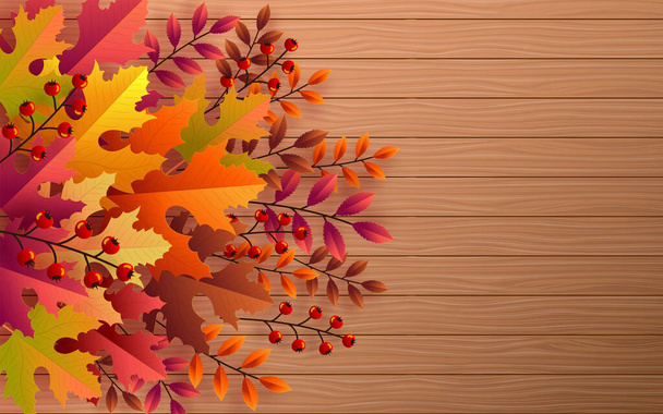 Autumn holiday seasonal background with colorful autumn leaves, mushrooms, owls, golden pods, squirrels, and elements paper cut craft style on color background. - Vecteur, image