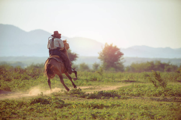 Cowboy cavalcando un cavallo che trasporta una pistola - Foto, immagini