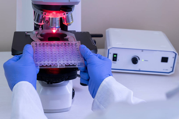 Un científico se prepara para analizar muestras bajo un microscopio con luz roja. Análisis de un gran número de muestras bajo un gran microscopio. - Foto, imagen