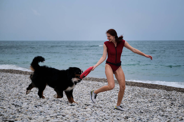 Mulher de cabelos ruivos branca bonita em tênis e cão de montanha Bernese com anel de brinquedo vermelho na boca estão correndo rápido e ativamente jogando na praia de seixos. Caminhando com cão grande na manhã quente de verão. - Foto, Imagem