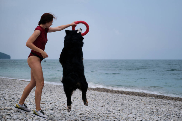 Белая рыжеволосая женщина играет с собакой из Бернской горы в красной игрушке. Счастливая собака высоко прыгает, а хозяин улыбается и смеется. Установить контакт с домашним животным на прогулке. - Фото, изображение