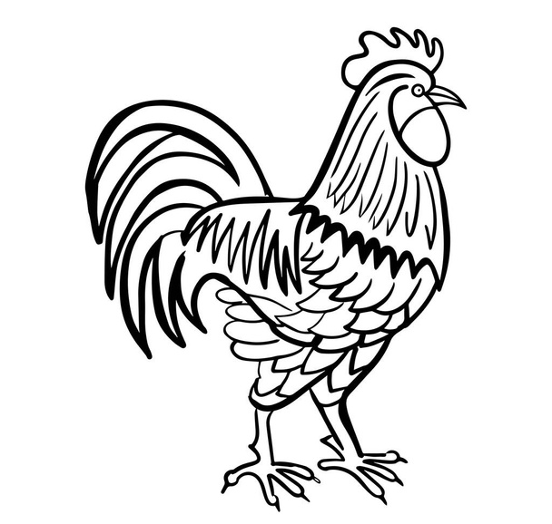 rooster hand drawn engraved sketch drawing vector illustration - Vector, Image