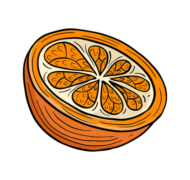 oranžový plátek ovoce ručně kreslený kreslený náčrt kresba vektor - Vektor, obrázek