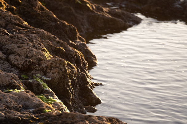 The calm sea water bathes a group of rocks with moss at sunset. Concept of peace, tranquility. - Foto, Imagem