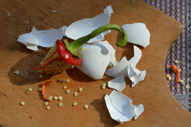 Funny still life - quickly breakfast.View of boild eggshell, sweet pepper stalk and cutting board. - Photo, Image