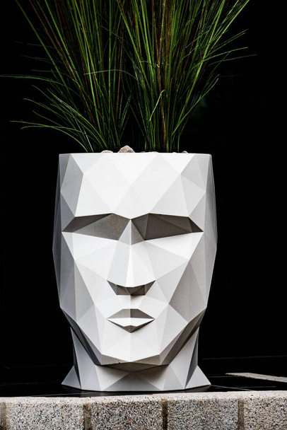 人間の顔の形をした白い花の鍋は、黒い背景の三角形の要素で作られていました。背景には緑の草の葉が見える。. - 写真・画像