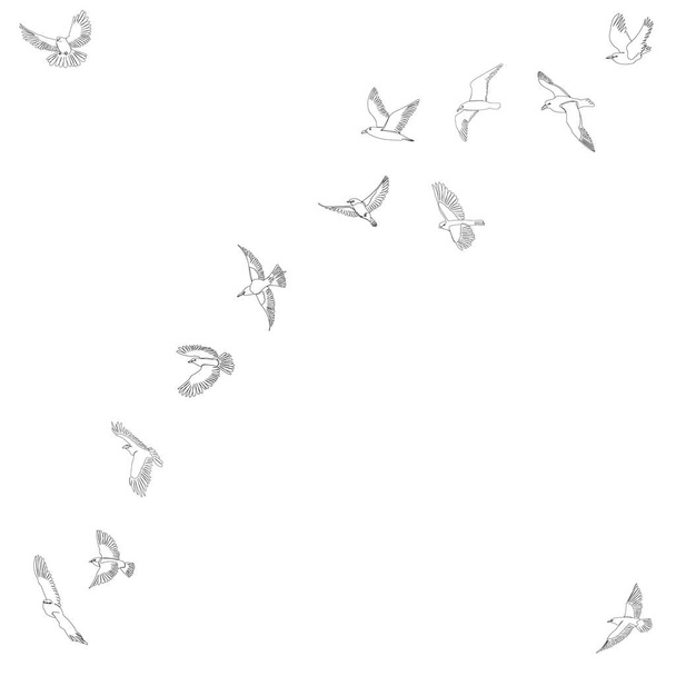σκίτσο ιπτάμενου σμήνους πτηνών - Διάνυσμα, εικόνα