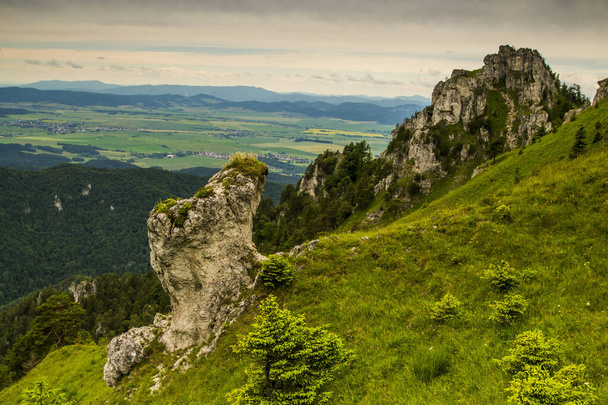 Vista estiva sulla montagna velka fatra, Slovacchia. - Foto, immagini