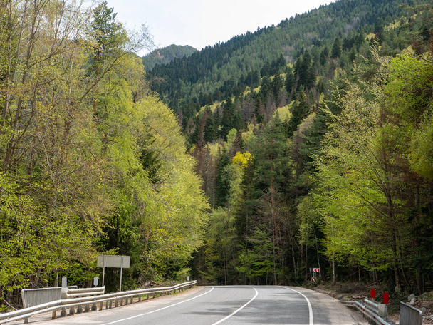 Δρόμος ασφάλτου που οδηγεί στο Ντομπάι. Οδήγηση κατά μήκος αυτού του δρόμου προσφέρει θέα ψηλά βουνά και πράσινο πυκνό μικτό δάσος. Karachay-Cherkess Republic, Ρωσία. - Φωτογραφία, εικόνα