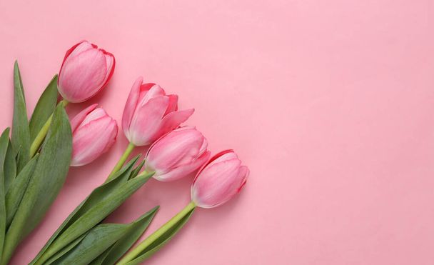 Różowy bukiet tulipanów na różowym tle. Romantyczne, miłosne pojęcie. Przestrzeń kopiowania - Zdjęcie, obraz