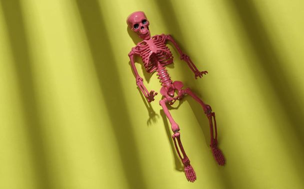 Pink skeleton on green background with trendy fashion striped shadow. Minimalism. Abstraction. Concept art  - Photo, Image