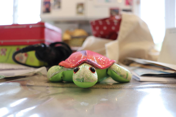 Schildpad verstopt zich achter sleutels of sleutels verstopt achter een schildpad - Foto, afbeelding